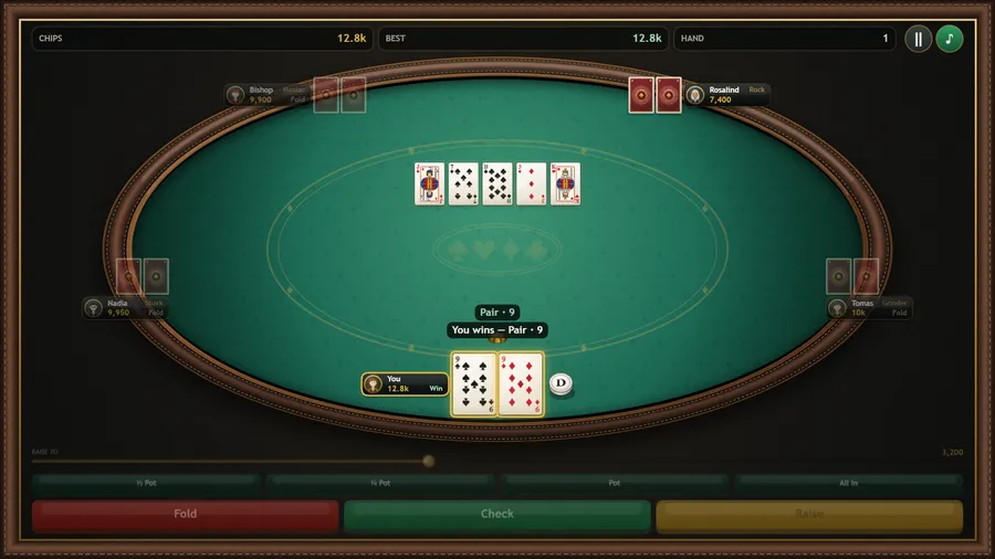 Showdown: all five community cards are out and the banner reads You wins with a pair of nines, your hand highlighted.